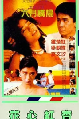 av片在线观看