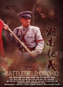 成年人午夜视频