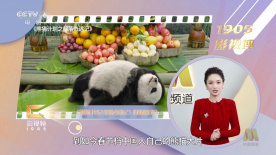 女free性zozo交体闪谢